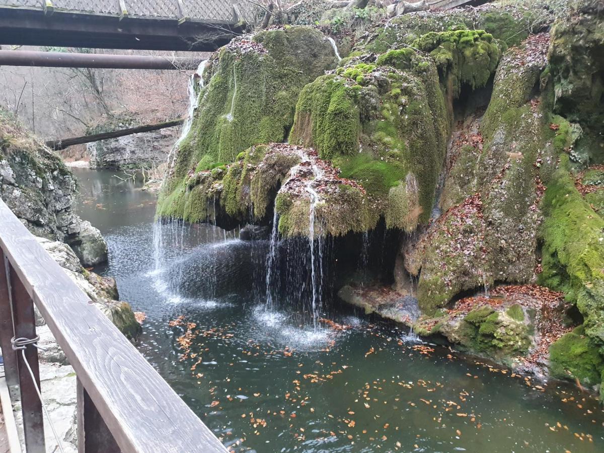 Albina Dunareana Hotel Berzasca Zewnętrze zdjęcie